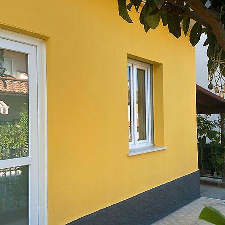Orte Holiday - Inaugurazione Agosto 2024 ريتشوني المظهر الخارجي الصورة